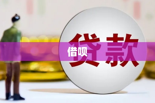 宿松借呗