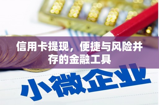 宿松信用卡提现，便捷与风险并存的金融工具
