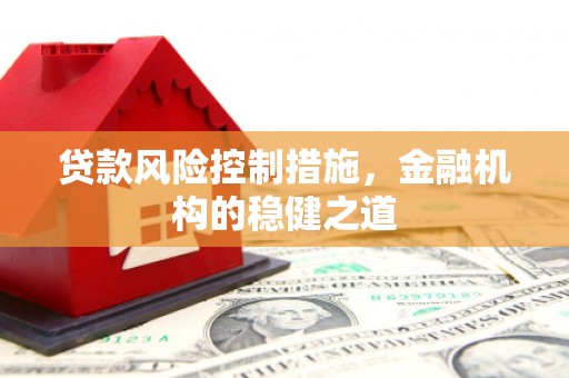 宿松贷款风险控制措施，金融机构的稳健之道