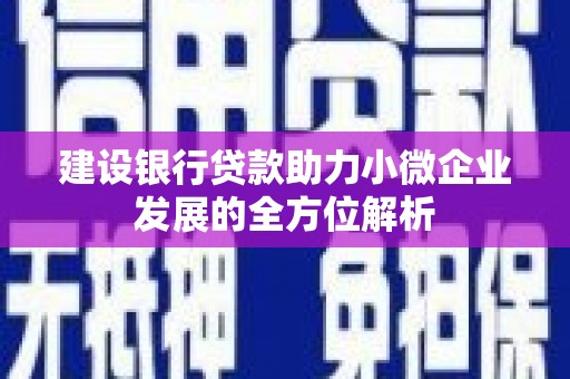 宿松建设银行贷款助力小微企业发展的全方位解析