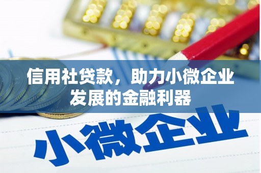 宿松信用社贷款，助力小微企业发展的金融利器