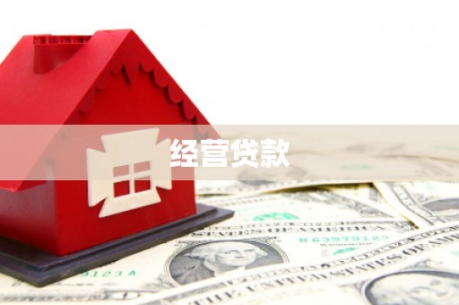 宿松经营贷款