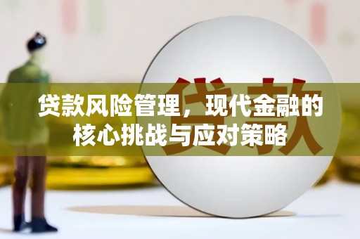 宿松贷款风险管理，现代金融的核心挑战与应对策略