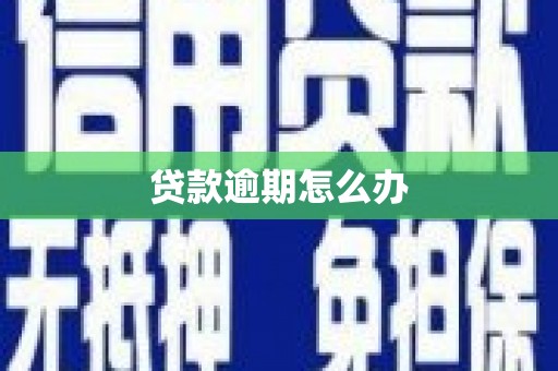 宿松贷款逾期怎么办