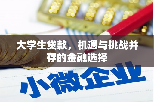 宿松大学生贷款，机遇与挑战并存的金融选择