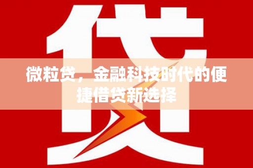宿松微粒贷，金融科技时代的便捷借贷新选择
