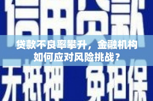 宿松贷款不良率攀升，金融机构如何应对风险挑战？