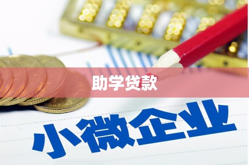 宿松助学贷款