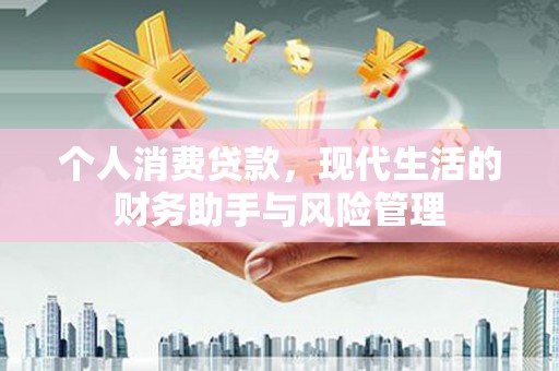 宿松个人消费贷款，现代生活的财务助手与风险管理