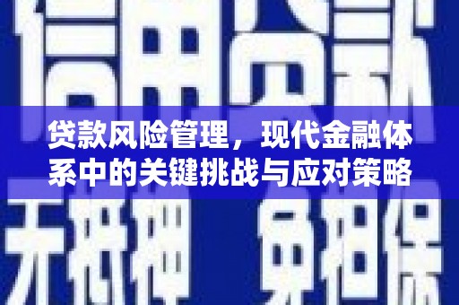 宿松贷款风险管理，现代金融体系中的关键挑战与应对策略