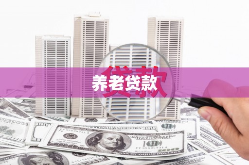 宿松养老贷款