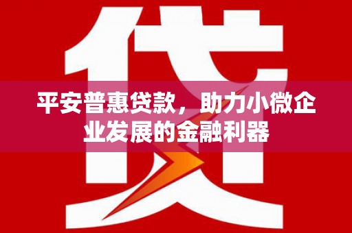 宿松平安普惠贷款，助力小微企业发展的金融利器