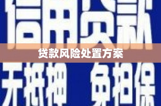宿松贷款风险处置方案