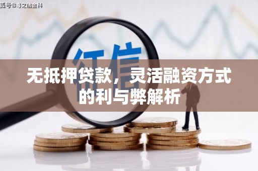 宿松无抵押贷款，灵活融资方式的利与弊解析