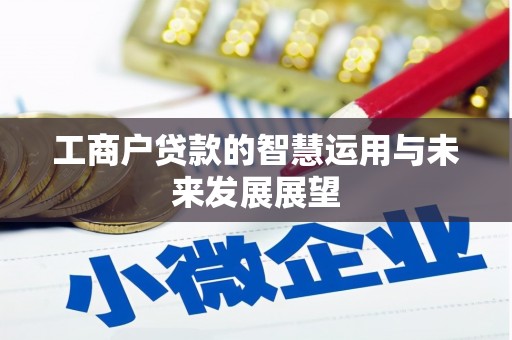 宿松工商户贷款的智慧运用与未来发展展望