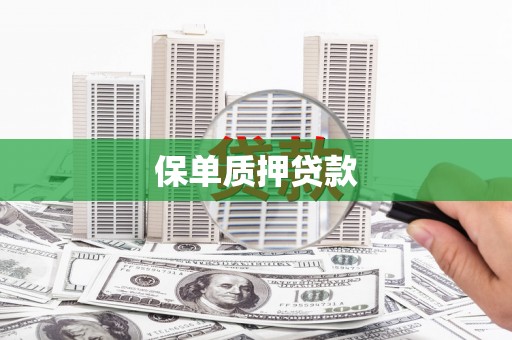 宿松保单质押贷款