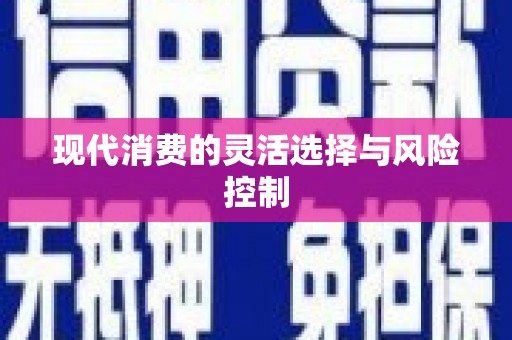 宿松现代消费的灵活选择与风险控制