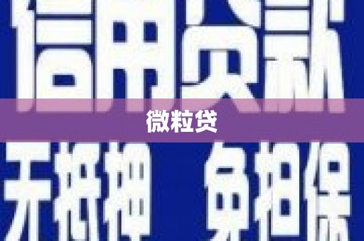 宿松微粒贷