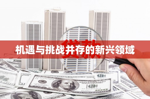 宿松机遇与挑战并存的新兴领域