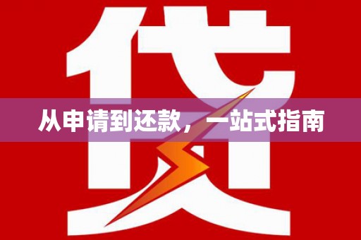 宿松从申请到还款，一站式指南