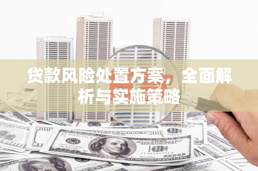 宿松贷款风险处置方案，全面解析与实施策略