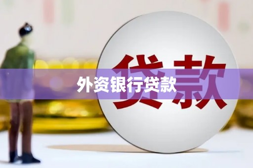 宿松外资银行贷款