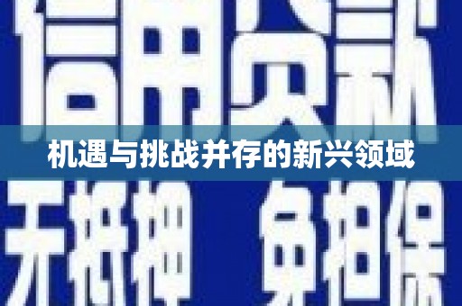 宿松机遇与挑战并存的新兴领域
