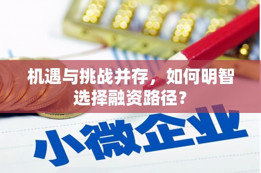 宿松机遇与挑战并存，如何明智选择融资路径？