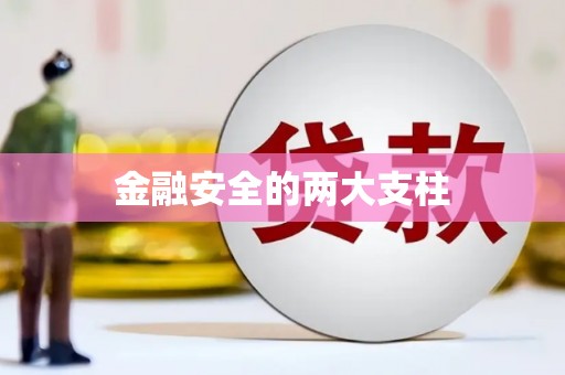 宿松金融安全的两大支柱
