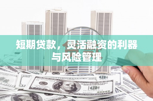 宿松短期贷款，灵活融资的利器与风险管理