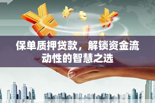 宿松保单质押贷款，解锁资金流动性的智慧之选